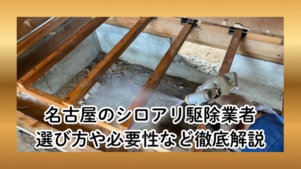 名古屋のシロアリ駆除業者
